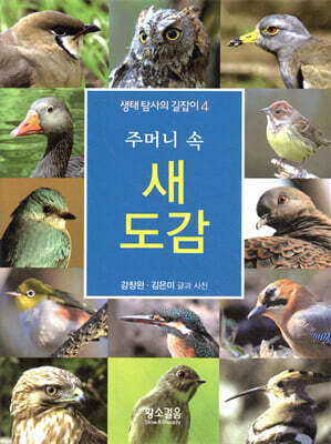 주머니 속 새 도감