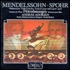 Andras Adorjan 멘델스존 / 슈포어: 바이올린 협주곡 [플루트 협주곡 편곡반] (Mendelssohn / Louis Spohr: Violin Concertos Op.64 & Op.47 [Versions for Flute]) 안드라스 아도리안