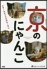 京のにゃんこ