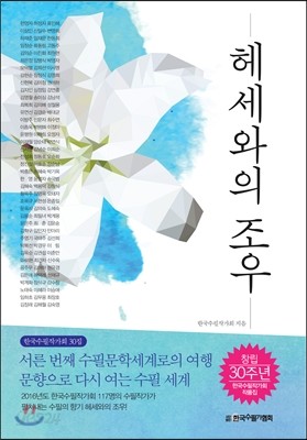 헤세와의 조우