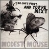 Modest Mouse - No One's First, And You're Next