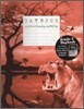 Daybook of Critical Reading and Writing Grade 2 : Student Book