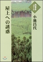屋上への誘惑