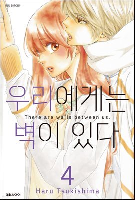 우리에게는 벽이 있다 04권