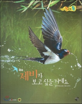 올리브톡 살아있는 감성자연 25 제비가 보고 싶을 거예요 (제비) 