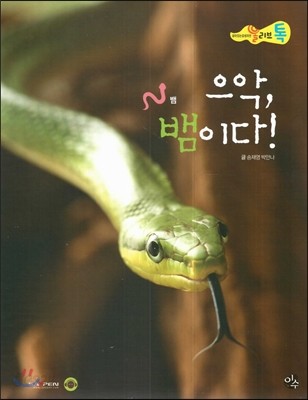올리브톡 살아있는 감성자연 30 으악, 뱀이다! (파충류-뱀) 