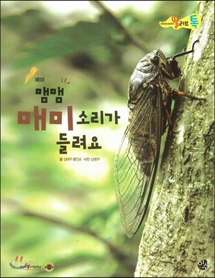 올리브톡 살아있는 감성자연 37 맴맴 매미 소리가 들려요 (곤충-매미) 