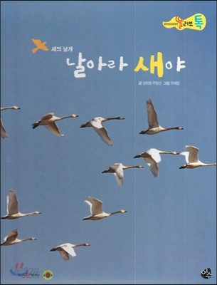 올리브톡 살아있는 감성자연 66 날아라 새야 (동물탐구-새의 날개) 