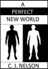 A Perfect New World: Image a World Without Religion