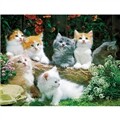 고양이 (150조각/OM102)