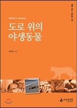 도로 위의 야생동물