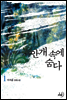 안개 속에 숨다 1권 (개정판)