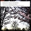 Christina Astrand 가데 / 랑예-뮐러 / 랑고르: 로맨틱 바이올린 협주곡 (Gade / Lange-Muller / Langgaard: Romantic Violin Concertos)