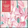 Allegri String Quartet 마달레나 롬바르디니 시르멘: 여섯 개의 현악 사중주 (Maddalena Lombardini Sirmen: The Six String Quartets) 알레그리 콰르텟