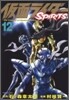 假面ライダ-SPIRITS 12