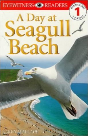 Day at Seagull Beach (DK Readers Level 1) Paperback