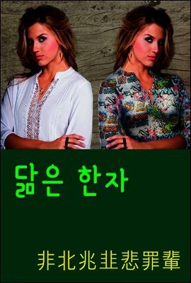 닮은 한자 : 非北兆悲罪輩