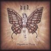 P.O.D. / Payable On Death (Limited Edition/수입/미개봉)
