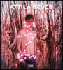 Attila Szücs: Specters and Experiments