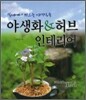 야생화 & 허브 인테리어