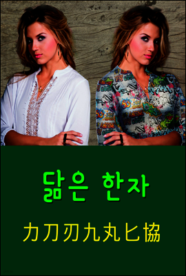 닮은 한자 : 力刀刃九丸匕協
