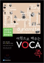 어원으로 배우는 VOCA족 (보카족)