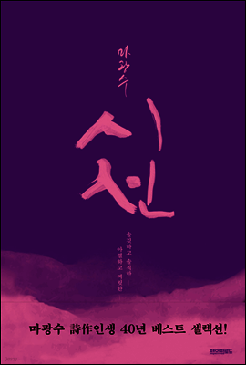 마광수 시선