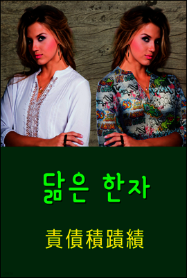 닮은 한자 : 責債積蹟績