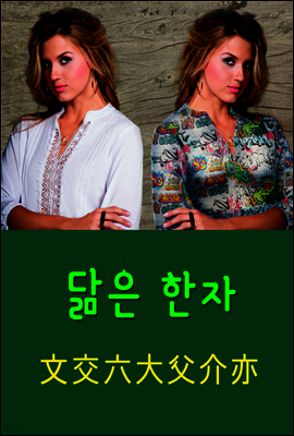닮은 한자 : 文交六大父介亦