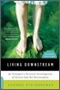 Living Downstream: An Ecologist's Personal Investigation of Cancer and the Environment