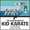 The Adventures of Kid Karate