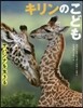 キリンのこども