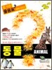 ANIMAL 동물