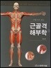 근골격해부학