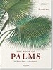 Martius. the Book of Palms