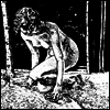Wtchs - She Walks, She Creeps (LP)