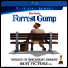 Forrest Gump (포레스트 검프) (한글무자막)(Blu-ray)