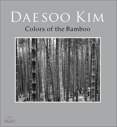 Colors of the Bamboo 컬러 오브 더 뱀부