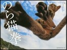 のら猫拳