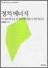 정치 에너지
