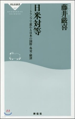 日米對等