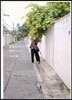 ばあちゃんの幸せレシピ