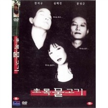 초록 물고기