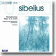 Sibelius : Symphony No.1ㆍ2ㆍ4ㆍ5 : Saraste