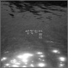 생각의 여름 - 생각의 여름
