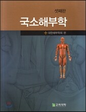 국소해부학