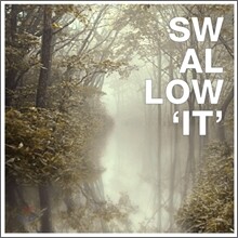 스왈로우 (Swallow) 3집 - It