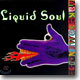 Liquid Soul - Make Some Noise