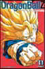 Dragon Ball Z (Vizbig Edition), Vol. 6: Everyone on Earth vs. Cell!