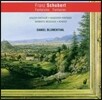 Daniel Blumenthal 슈베르트: 피아노 작품집 - 방랑자 환상곡, 악흥의 순간, 스케르초 (Schubert: Fantaisies - Grazer-Fantaisie, Wanderer-Fantaisie, Moments Musicaux, Scherzi) 다니엘 블루멘탈